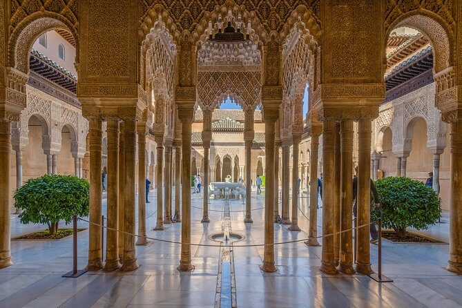 Alhambra and Granada Private Tour from Marbella, Malaga and port - Timed entry at the Nasrid Palaces: the part you can’t wing