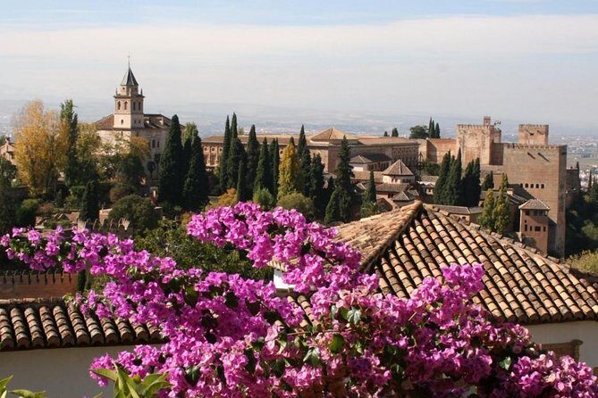 Alhambra &Charles Palace Guided Tour with Optional Nasrid Palaces - If you choose the surrounding-areas option: what you’re actually buying