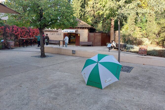 Alhambra Guided Tour, Nasrid Palaces and Generalife - Stop 1: entering the Alhambra with no queues