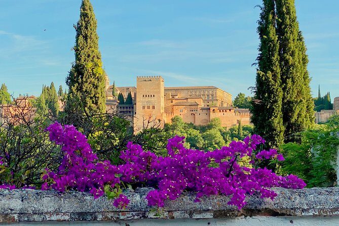 Alhambra Private Tour with Skip-the-line-tickets - Skip-the-line access at Alhambra: why it matters