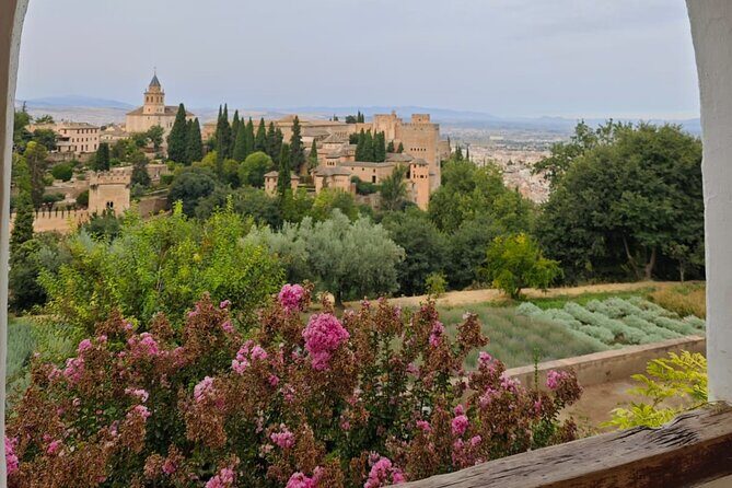 Alhambra Private Tour with Tickets to the Nasrid Palaces - Why a private Alhambra tour can feel like the smartest choice