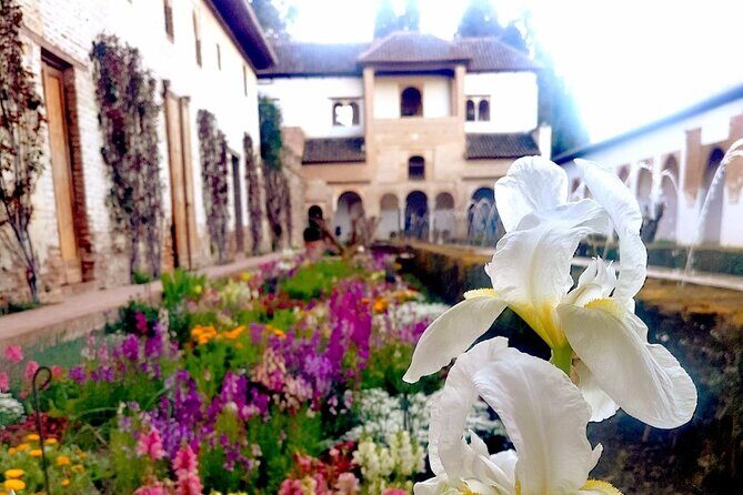 Alhambra Private Tour with Tickets to the Nasrid Palaces - Alcazaba panoramas: the best place to pause and take it in