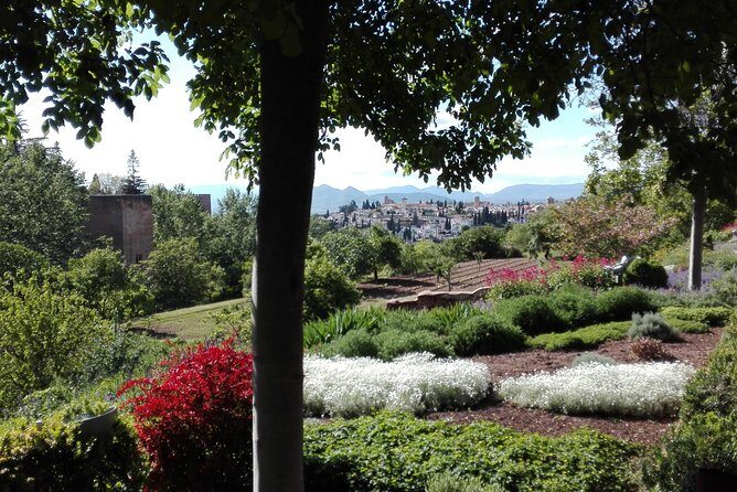 Alhambra private tour (without tickets) total/group Max 15 people - A 2.5-hour Alhambra visit that actually works