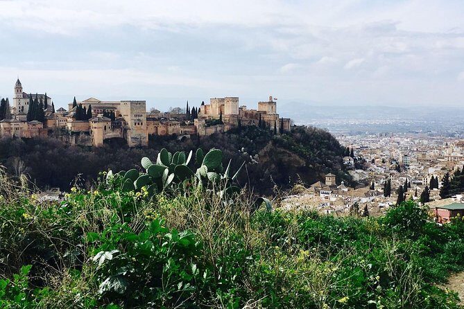 Alhambra private tour (without tickets) total/group Max 15 people - Forts and the Alhambra as a city-palace