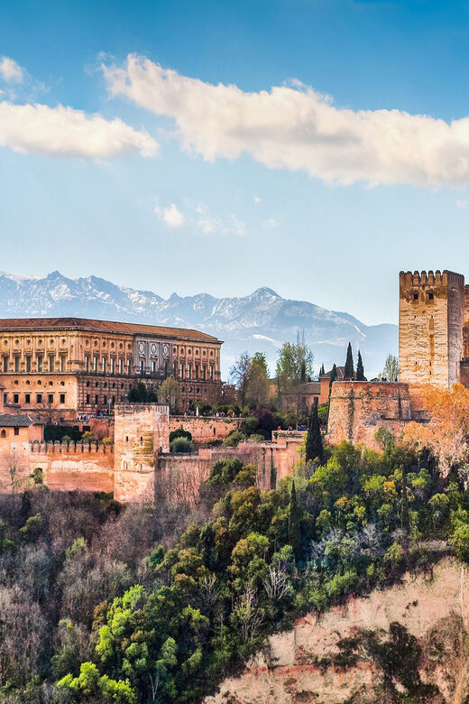 Granada: Alhambra and Nasrid Palaces Private Guide Tour - Why this 3-hour private format works at the Alhambra