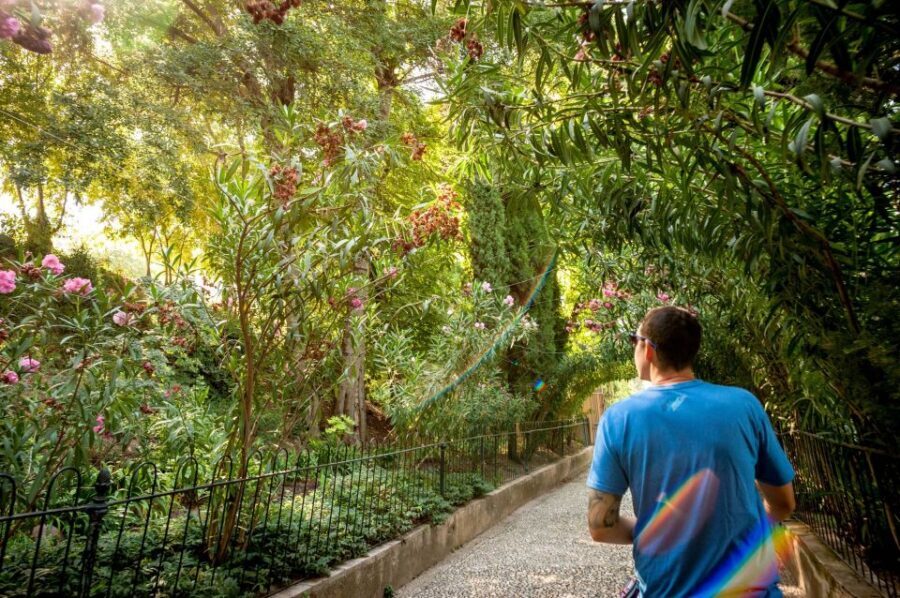 Granada: Alhambra Entry Ticket with Audio Guide - Granada after Alhambra: use the audio’s city help, then pick your own vibe