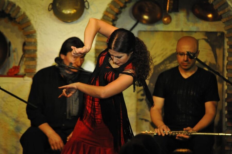 Granada: Alhambra Guided Tour and Flamenco Show - Alhambra in a few focused hours: what the skip-the-line buys you