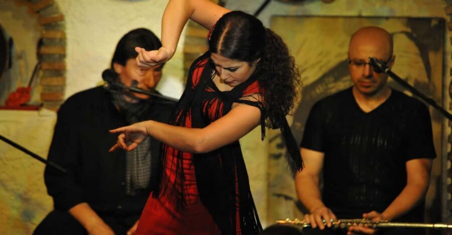 Granada: Alhambra Guided Tour and Flamenco Show - Language setup and audio reality in Alhambra