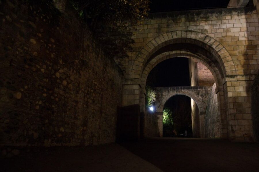 Granada: Alhambra Night Visit Entry Ticket - What’s included: Generalife Gardens, Nasrid Palaces, and Charles V Palace