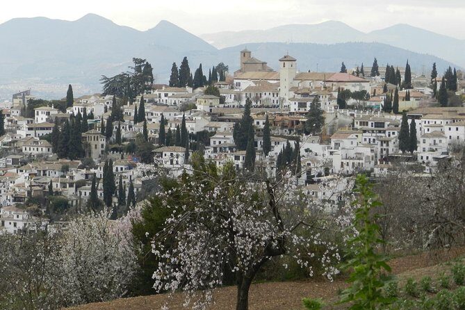 Granada Day Trip: Alhambra & Nazaries Palaces from Seville - Transport Details That Matter: Small Group, Mobile Tickets, and Day-of Requirements
