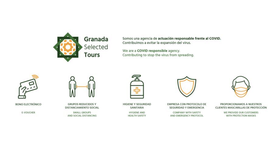 Granada: Fast-Track Alhambra & Nasrid Palaces Guided Tour - The Nasrid Palaces walkthrough: Courtyard of the Lions and the water-light plan