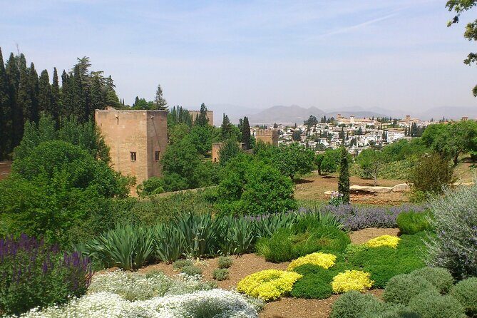 Granada Full Day Tour From Malaga - Pace and group size: what I’d watch for