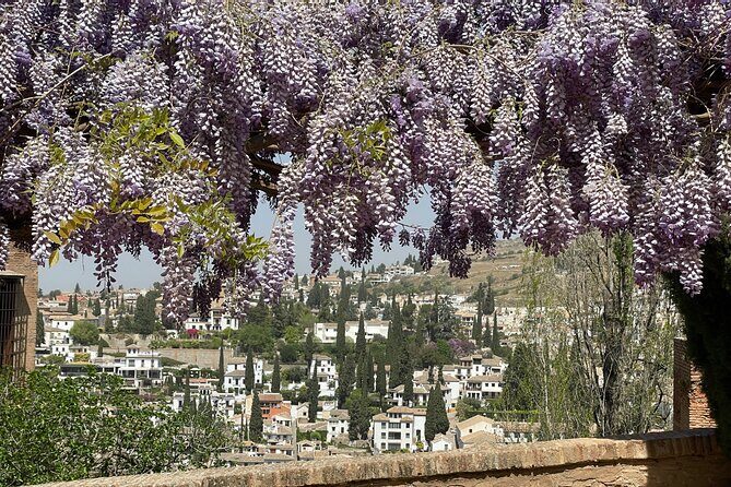 Granada : Private Alhambra Tour + Nazaries Palaces (VIP) - Nasrid Palaces: Where Architecture and Calligraphy Do the Talking