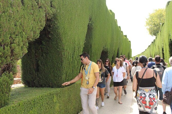 Guided visit to the Alhambra, Nasrid Palaces and Generalife - Why This 3-Hour Alhambra Route Works
