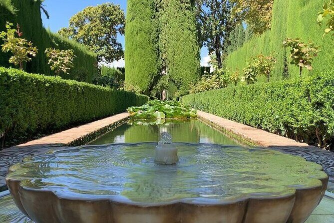 Guided visit to the Alhambra, Nasrid Palaces and Generalife - The Guide Effect: Clear Explanations and Attentive Moments