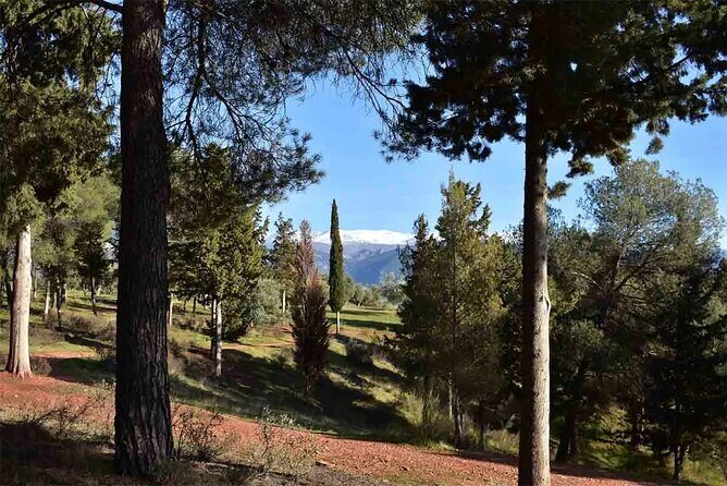 Hiking in the natural park on the outskirts of the Alhambra - La Silla del Moro: The Named Stop That Helps You Navigate the Effort