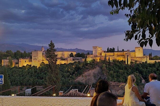 Private Night Tour of the Alhambra in Granada (includes tickets) - Nasrid Palaces by night: where the guide earns their pay