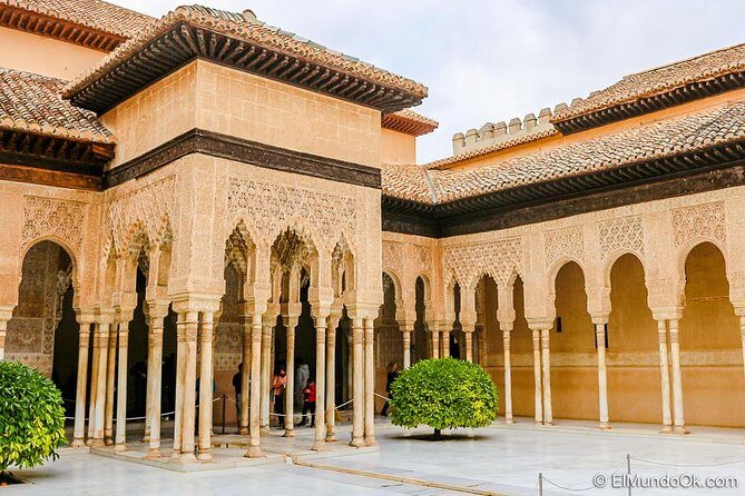 Private tour from Malaga to the Alhambra Palace and Granada - Who this tour is best for (and who should skip it)