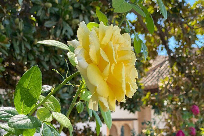 Private Tour to The Alhambra and Generalife from Motril port - Generalife gardens: the sultans’ summer palace effect