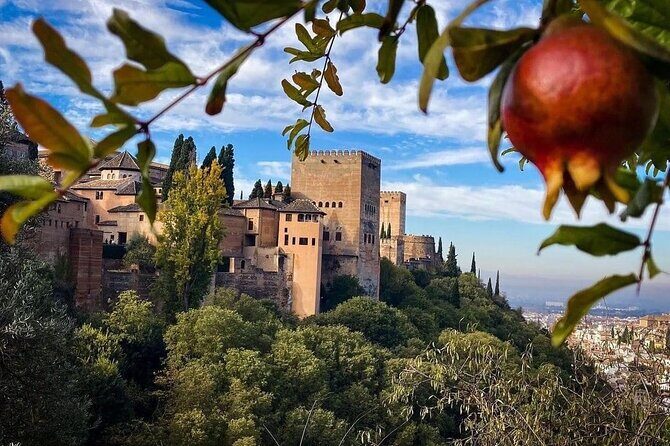 Private Tour to The Alhambra and Generalife from Motril port - After the palaces: getting into central Granada without missing your port return